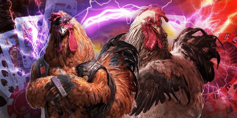 Bí Kíp Xem Ngày Đá Gà - Các Yếu Tố Ảnh Hưởng Đến Ngày Xem 4 bi-kip-xem-ngay-da-ga-3