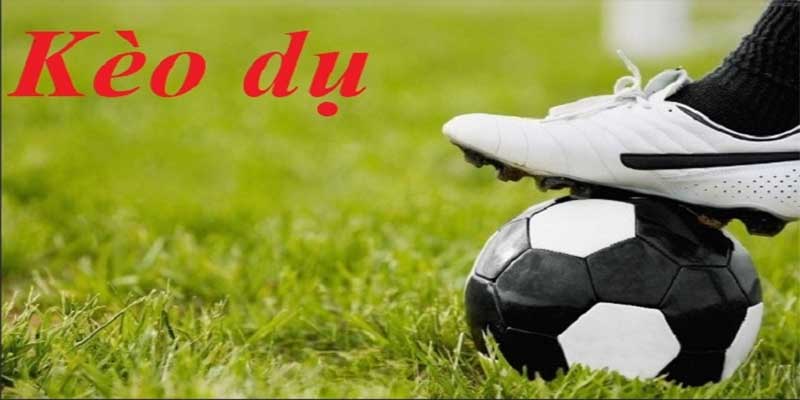 Cách Nhận Biết Kèo Dụ Và Tránh Bị Lừa Dễ Dàng Từ Win55 4 Kèo dễ ăn một cách bất thường