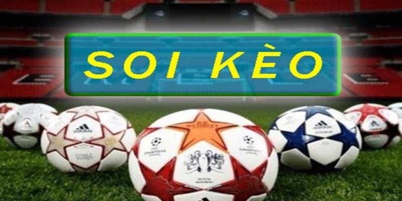 cách soi kèo nhà cái