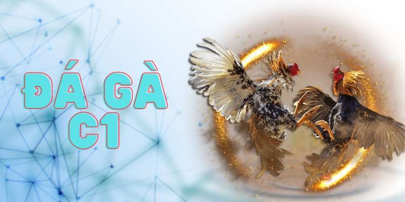 Đá Gà C1 - Bước Vào Địa Chỉ Cá Cược Độc Đáo Của Win55 1 da ga c1