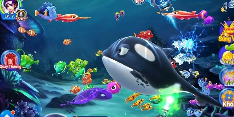 Game Bắn Cá Đổi Thưởng Win55 - Top Trò Chơi Cực Hot Trong 2025 3 Chơi trò chơi săn cá tiên cảnh siêu hot
